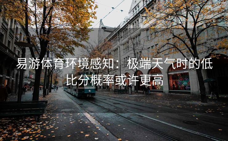易游体育环境感知：极端天气时的低比分概率或许更高