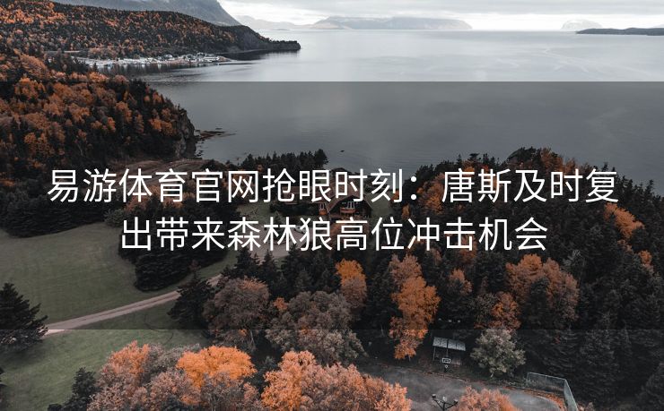 易游体育官网抢眼时刻：唐斯及时复出带来森林狼高位冲击机会