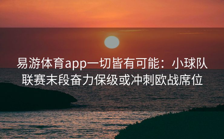 易游体育app一切皆有可能：小球队联赛末段奋力保级或冲刺欧战席位