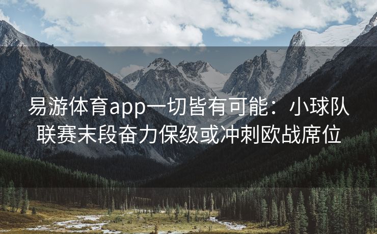 易游体育app一切皆有可能：小球队联赛末段奋力保级或冲刺欧战席位