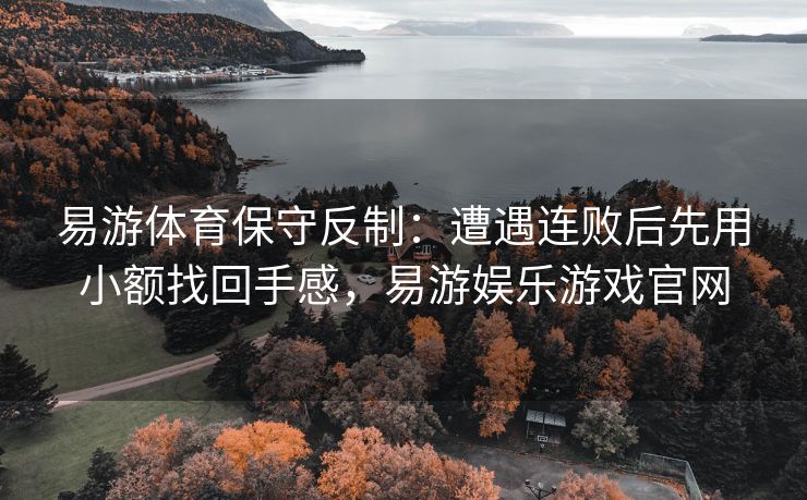 易游体育保守反制：遭遇连败后先用小额找回手感，易游娱乐游戏官网