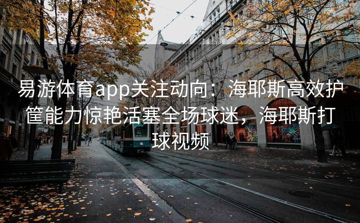易游体育app关注动向：海耶斯高效护筐能力惊艳活塞全场球迷，海耶斯打球视频