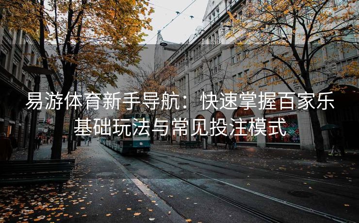 易游体育新手导航：快速掌握百家乐基础玩法与常见投注模式