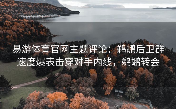 易游体育官网主题评论：鹈鹕后卫群速度爆表击穿对手内线，鹈鹕转会